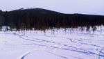 kiruna08.jpg